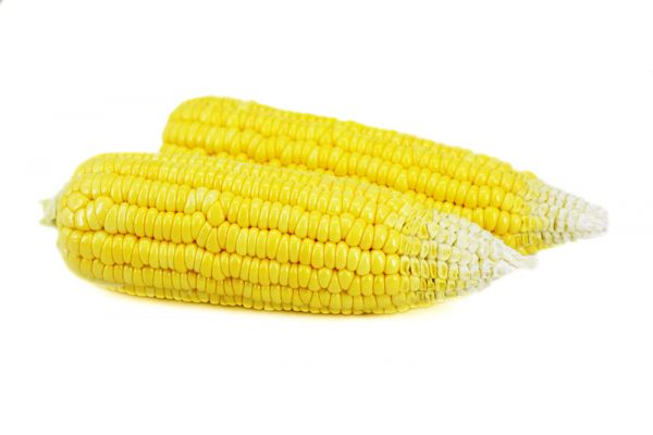 שעועית ירוקה
